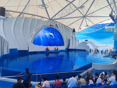 Grandview Polar Ocean World