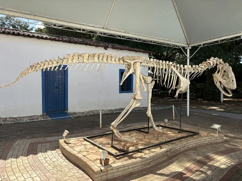 Museu de Pre-Historia Casa Dom Aquino