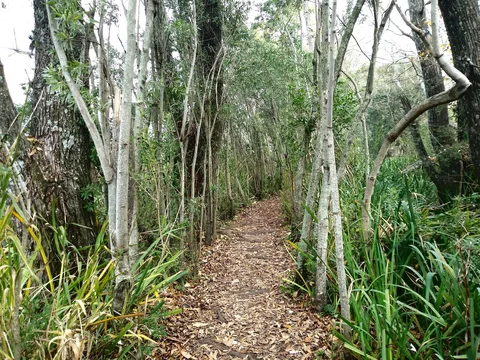 Parque Natural Municipal Ribera Norte