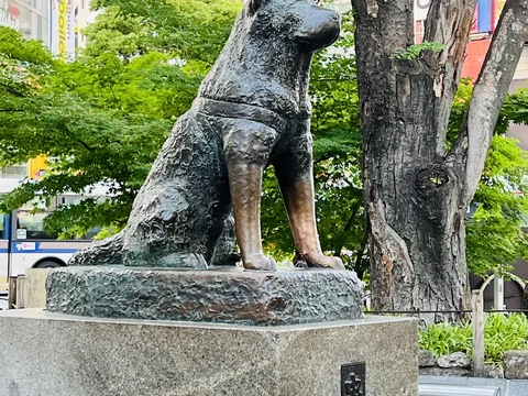Shibuya Crossing e Hachiko