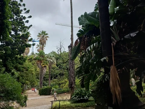 Jardim Botanico de Lisboa