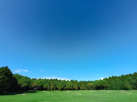 Parque da Cidade do Porto