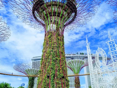 Supertree Grove