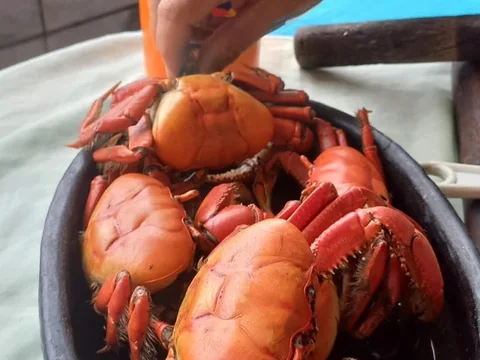 Restaurante Caiçara Bertioga