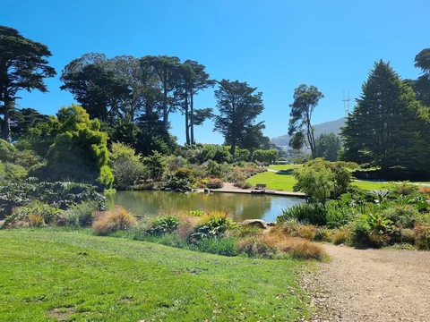 San Francisco Botanical Garden