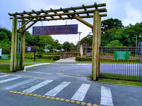 Bosque dos Pinhais