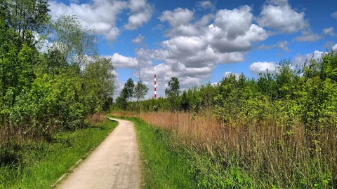 Sciezka rekreacyjno-przyrodnicza nad Wisla