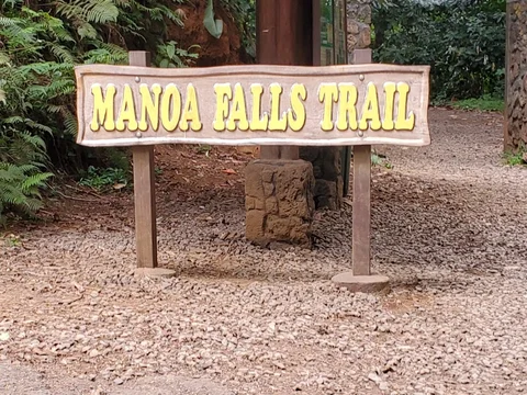 Manoa Falls Trail