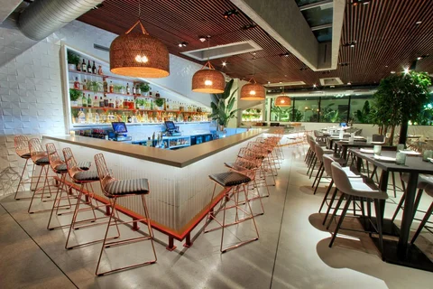Planta South Beach