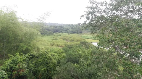 Trilha do Poco Preto