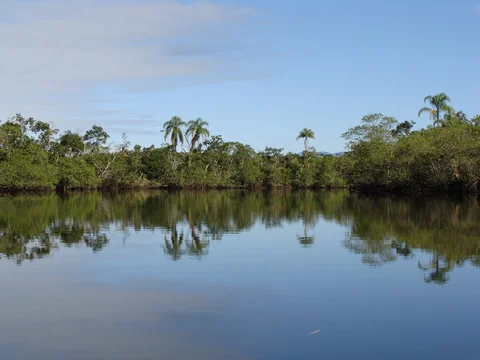 Rio Itaguaré