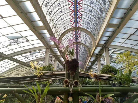 Jardín Botánico del Bosque de Chapultepec