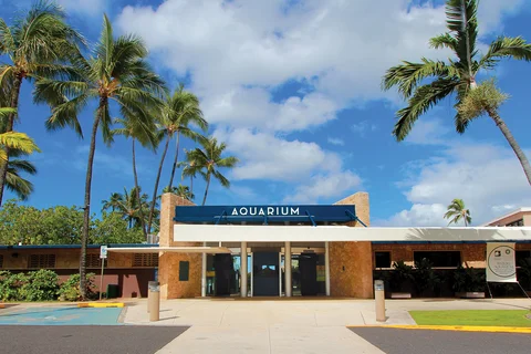 Waikiki Aquarium