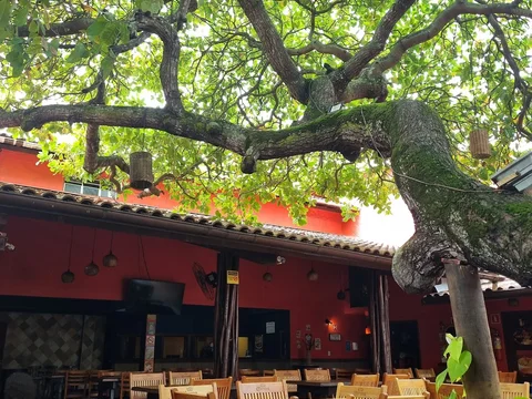 Souza Bar e Restaurante