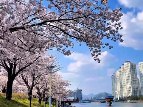 APEC Naru Park