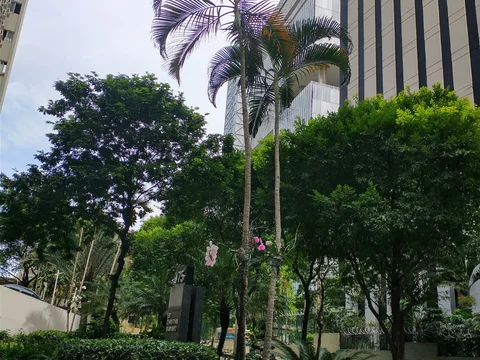 Selina Lapa Rio de Janeiro