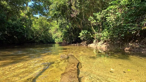 Rio Jaguareguava
