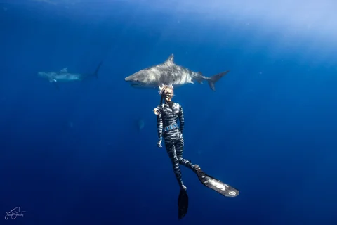 One Ocean Diving