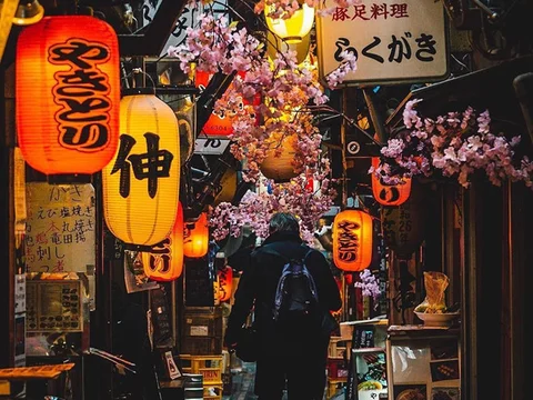 Omoide Yokocho (Piss Alley)