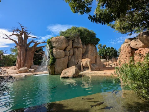 Bioparc València