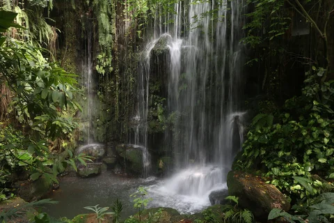 South China National Botanical Garden