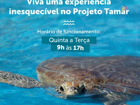 Projeto TAMAR Ubatuba