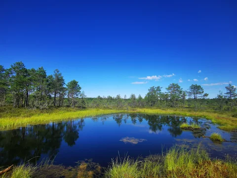 Parque Nacional de Lahemaa