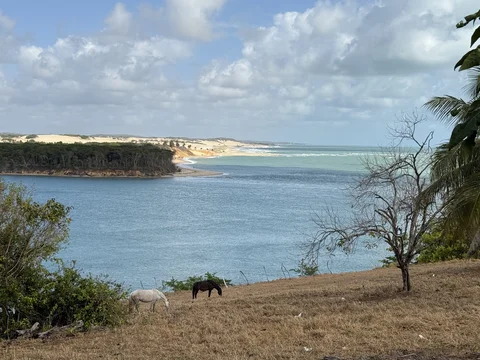 Mirante da Lagoa de Guaraíras