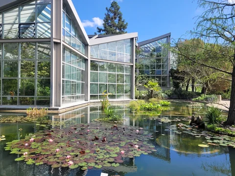 Palmengarten Frankfurt