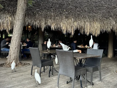 Restaurante Bioparc Samburu