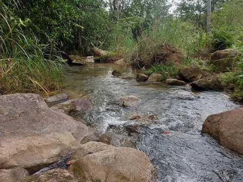 Parque Natural Municipal Fazenda Atalaia