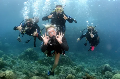 Master Dive Operadora de Mergulho