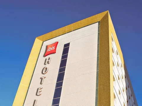Ibis Macae