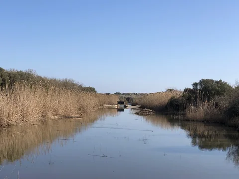 Parc Natural de s Albufera de Mallorca
