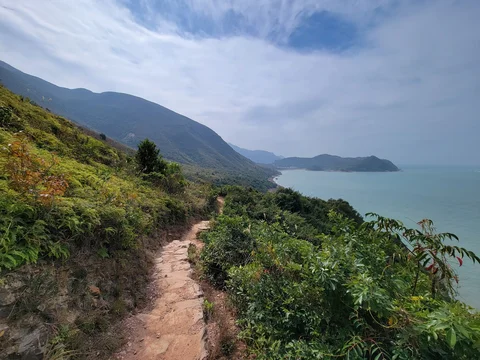 Tai O Mangrove and Wetland Nature Trail