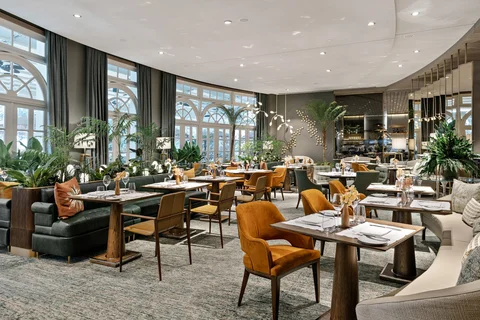 Tangara Jean-Georges