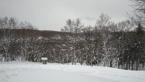 Sapporo Geijutsu no Mori