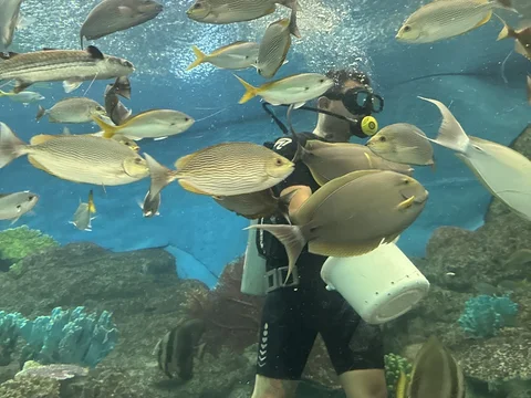 Underwater World Pattaya