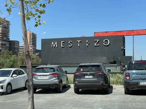 Mestizo