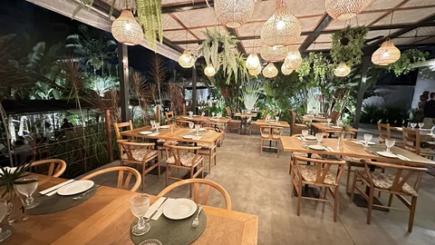 Mundo Selvagem Cafe