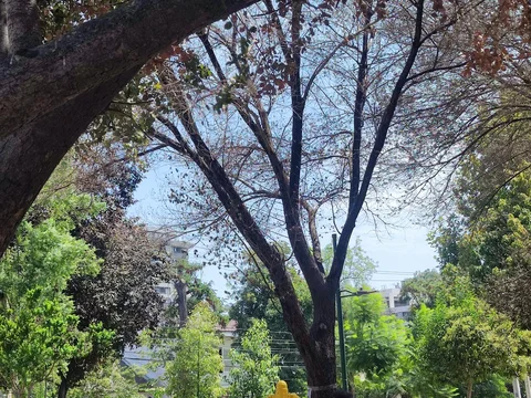 Barrio Italia