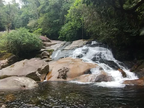 Trilha de Guaratuba