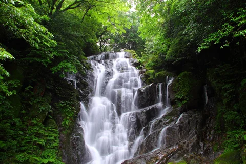 Trilha Ecologica do Monte Shiomi