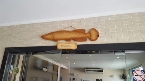 Remanso do Peixe