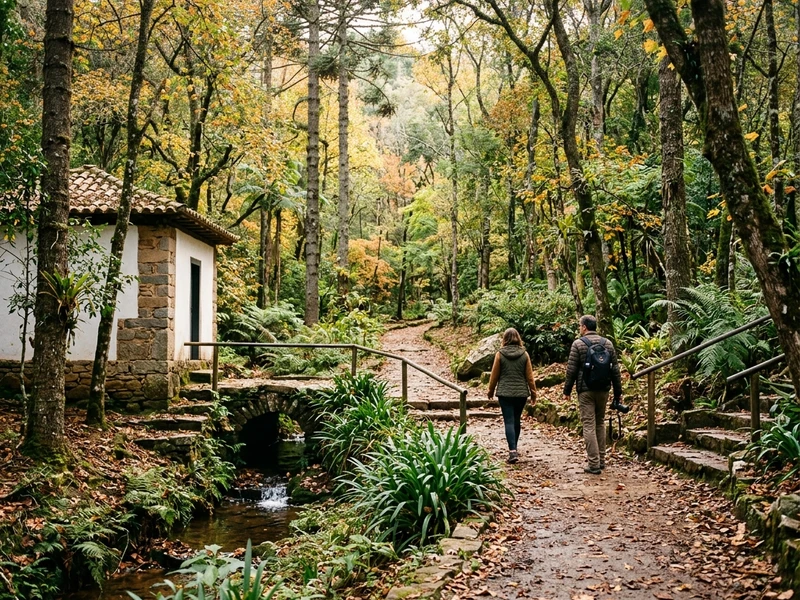 Roteiro sustentável planejado para quem ama o contato autêntico com a natureza e busca regeneração física e mental. 🍃 Durante o ameno outono mineiro, você explorará trilhas certificadas na imponente Serra de São José, com acompanhamento de guias de ecoturismo credenciados e visita ao santuário de libélulas raras. 🦋 As experiências priorizam o mínimo impacto ambiental, sem rotas de massa, valorizando a fauna, a flora e os cursos d'água cristalinos. A hospedagem eco-friendly garante noites silenciosas e práticas conscientes, enquanto a gastronomia local brilha com ingredientes da horta e produtores orgânicos regionais. Uma vivência inesquecível de ecoturismo e respeito à Mãe Terra! ⛰️💦