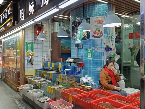 Shekou Market