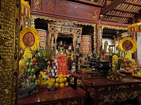 Den Ngoc Son