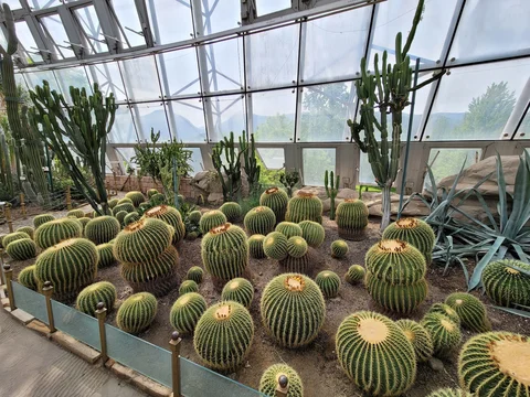 Jardim Botanico Nacional da China