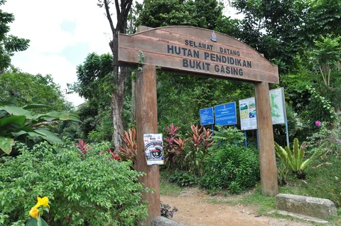 Bukit Gasing Forest Park