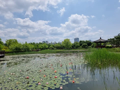 Dajeon